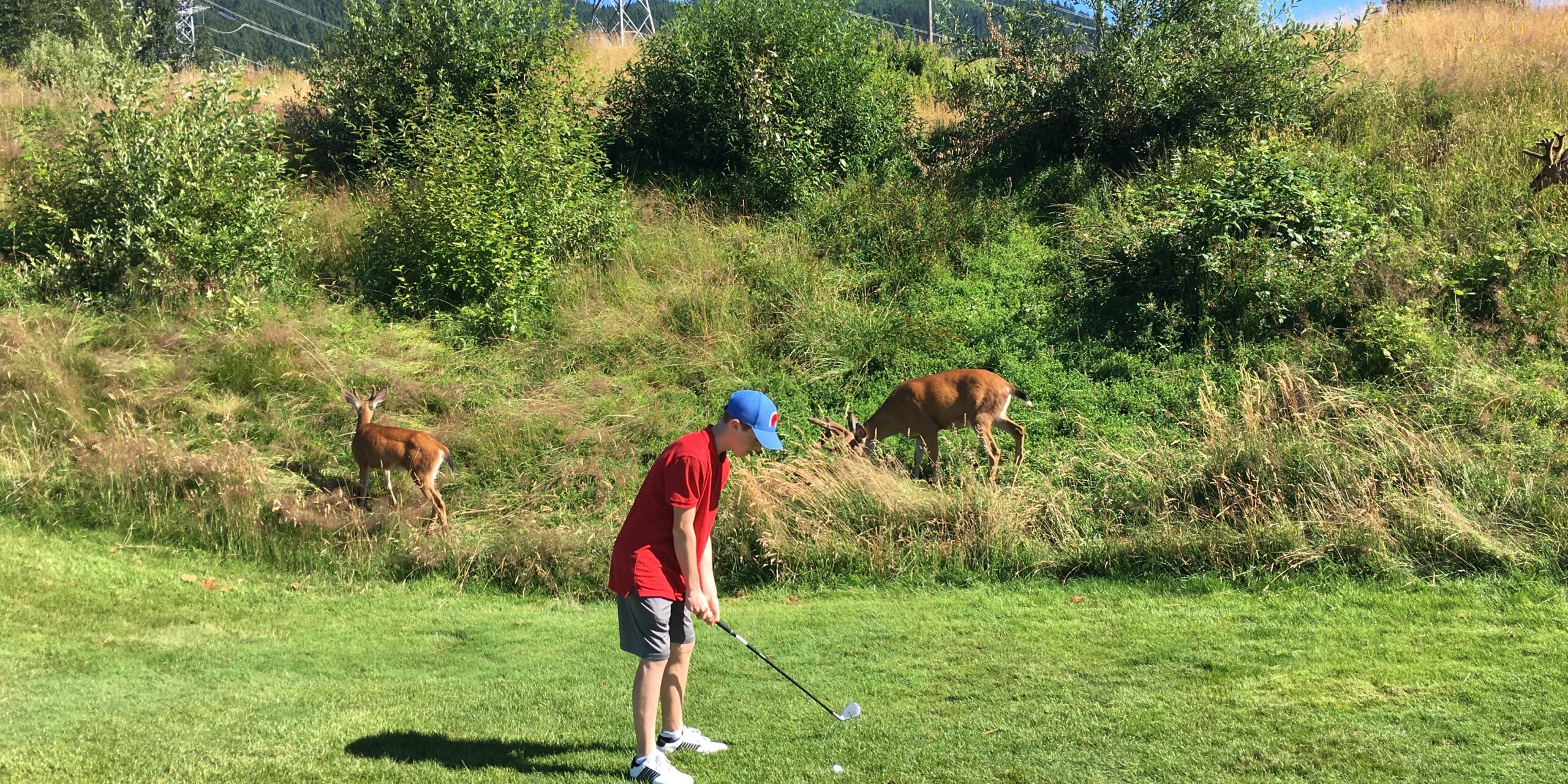 PRIVATE LESSON JUNIOR GOLFER  LAGO GOLF ACADEMY